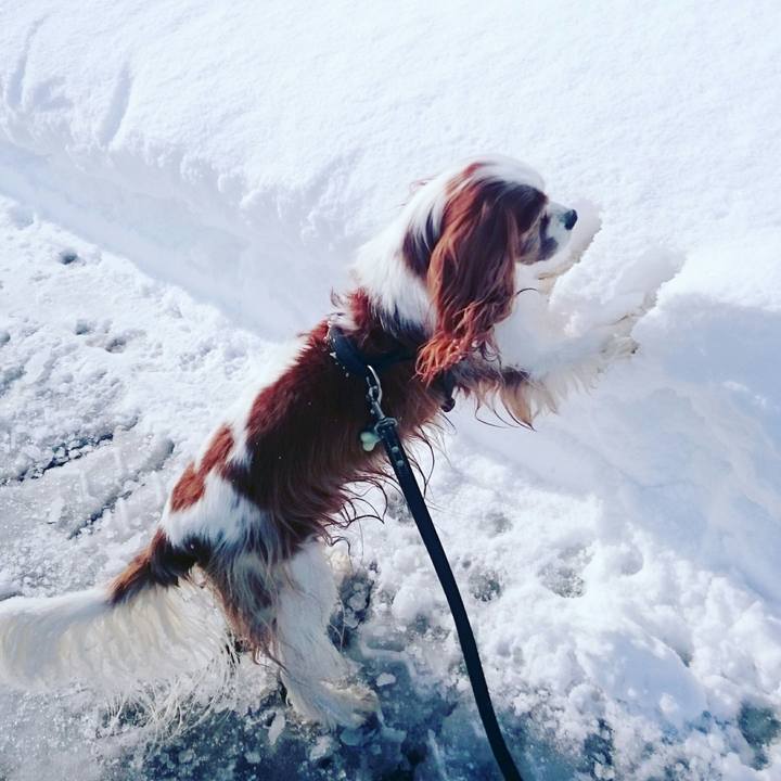 2df595a6 20ce 40ba 88cb 7784dc034b87 1515155213537