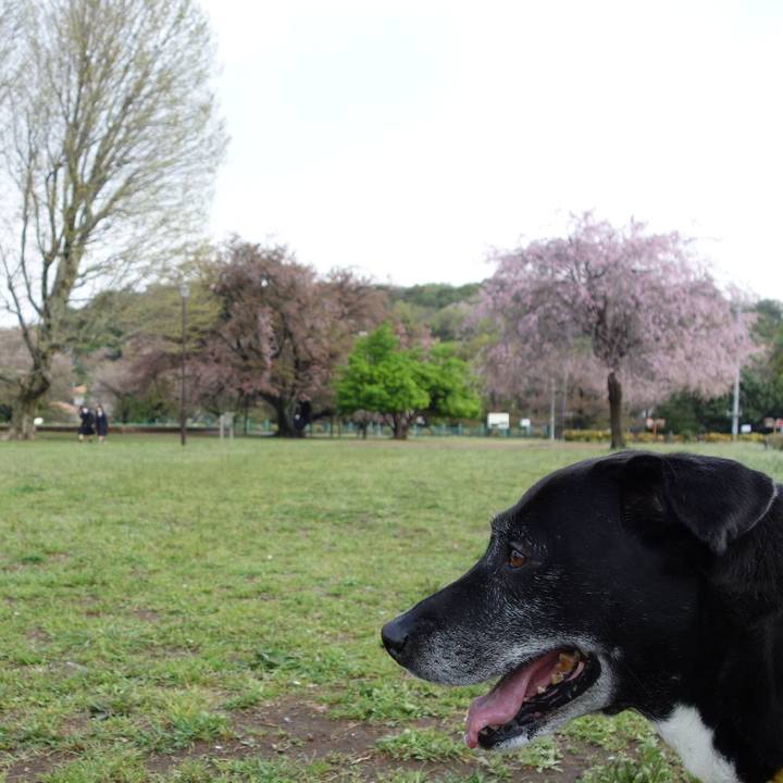 2df5e586 2294 4e3f b1f4 bb3d985a236e 1744591320313