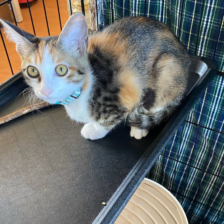 2df5fc43 7a04 460b 90c0 245570a95d1c 1728548979940