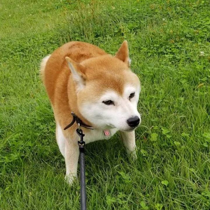 2df5fd8e 1841 4d12 a431 6dd93b70580a 1601792635360