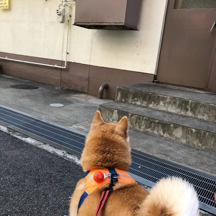 2df61455 8bb8 4782 900d 395180d7ee45 1602843512991