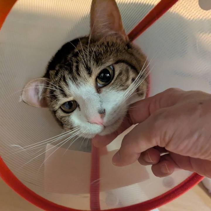 2df639d0 8b0b 4362 852b f65f21e04981 1757396023174