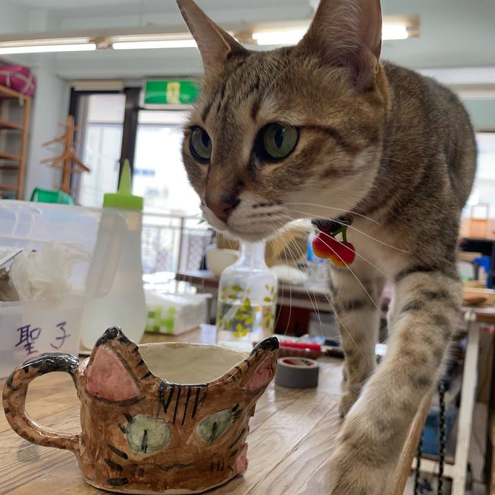 2df65328 8357 4acd a0dc 6996d13e6aa4 1715948993897