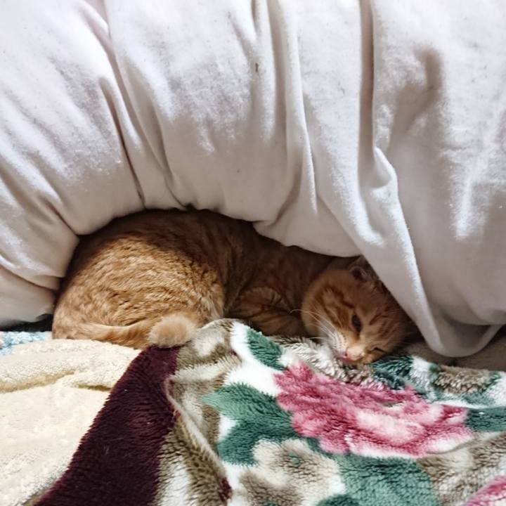 2df65db7 b565 4b06 b1d8 3d2c5f3c5aa3 1638016843649