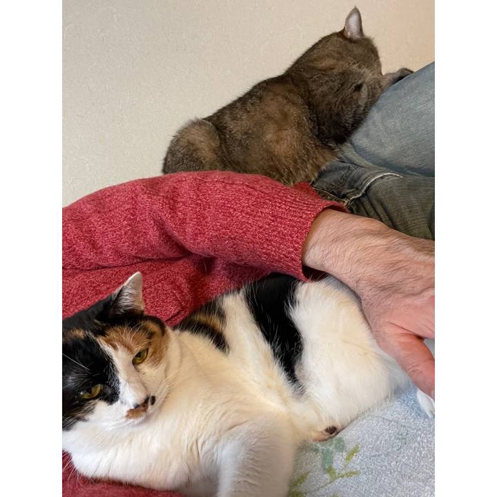 2df660da a6ab 49bf ba0e 88b950462a71 1617022305246