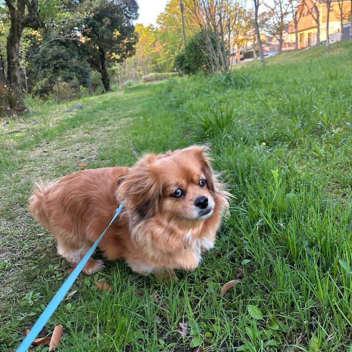 2df6d81f c716 4e57 8bcc 5674f9905cda 1681076226023