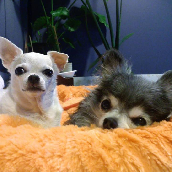 2df6fb28 8dea 4faa 8141 b9a70445223d 1763130480611