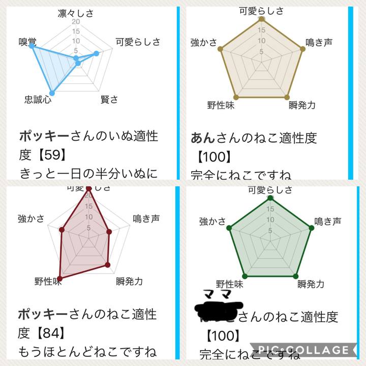 2df73f5c 9869 46fe bfe6 2f1794d2947f 1538555085803