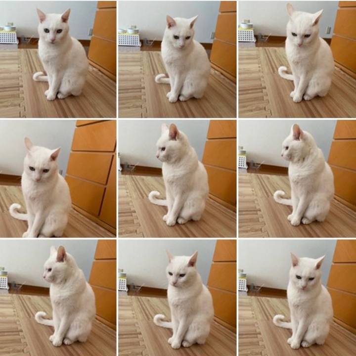 2df758a7 75a4 4dbc 8e0d e572363cf8d5 1763193700070