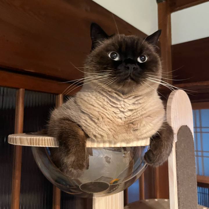 2df798cd ba64 4846 ada5 c3dc49af87f1 1702598817119