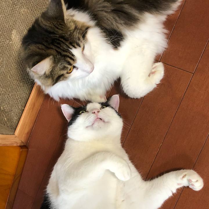 2df7b9ba 6bb0 4fa5 8697 e22d3a7e467e 1537255060322