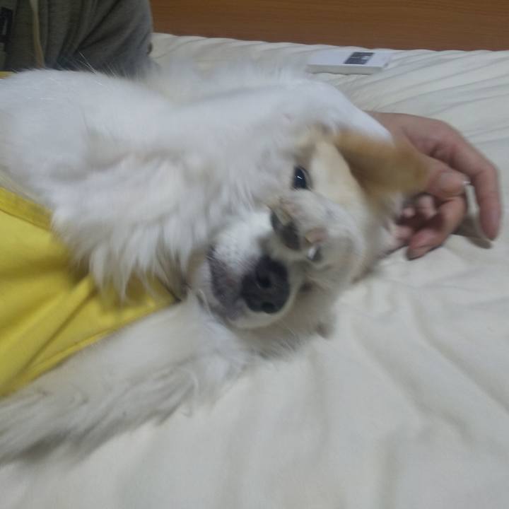 2df7cc77 ad5d 4f37 a74c d35569d3a7a4 1637099283160