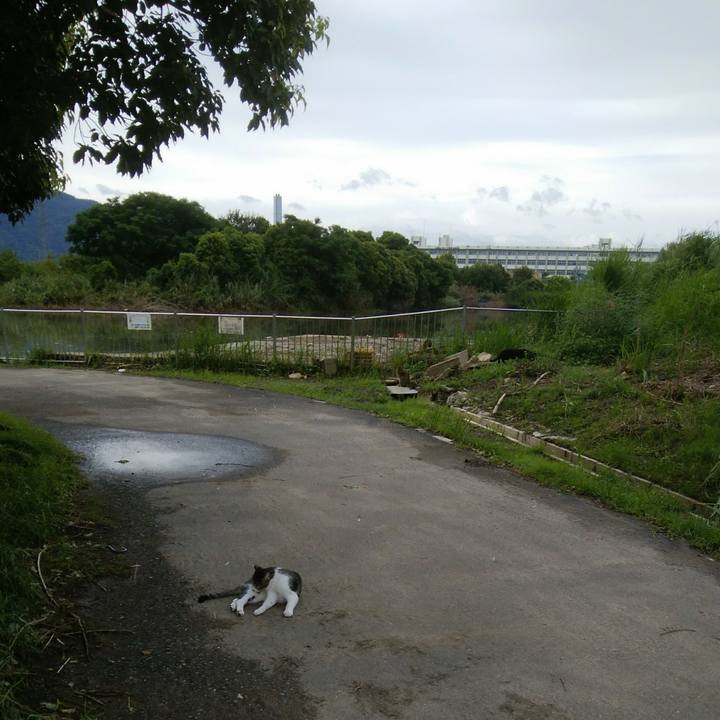 2df7db5f b67d 4581 96fc 9beb20912d07 1535069218222