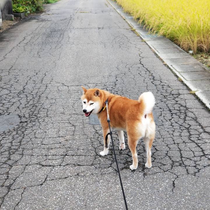 2df7ee42 5a5d 4c10 bc4c fc9915b7fe90 1569051106271