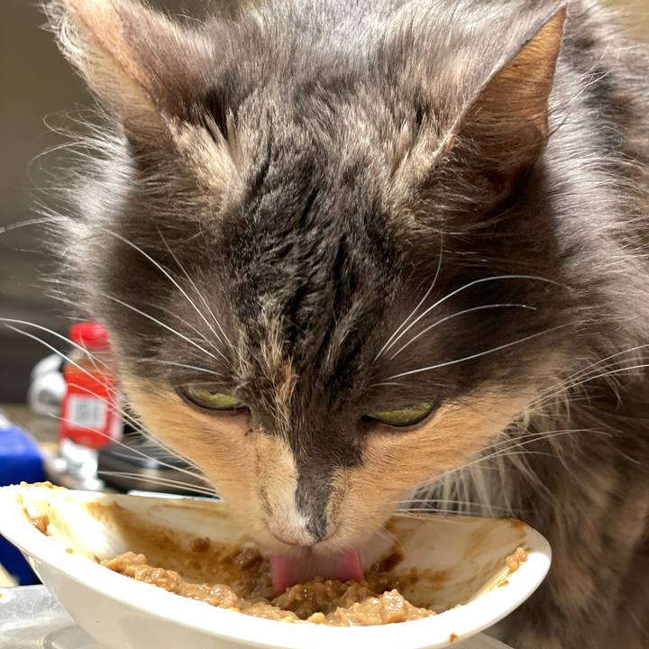 2df7fcfc 317e 4636 88d7 89dc6ebd1b14 1624414511216