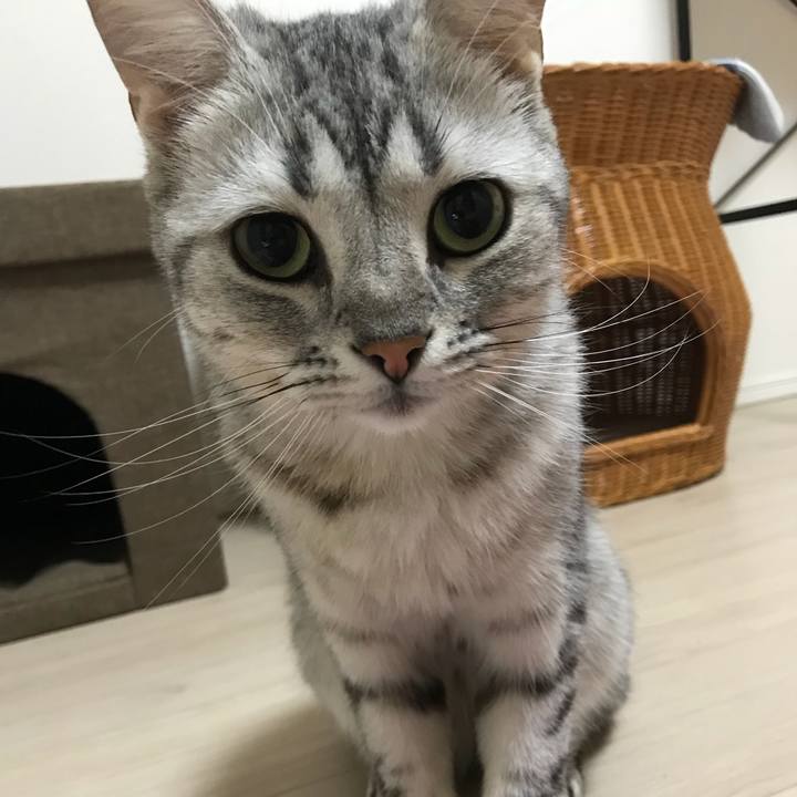 2df81354 d306 46c3 846c 9fc658491ced 1528112282347