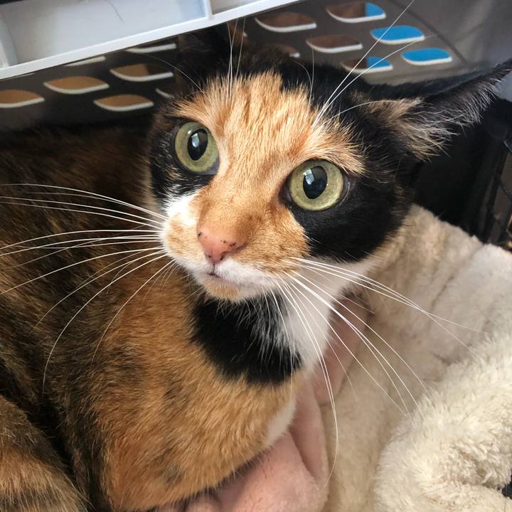 2df834ed 9dfb 4143 9ddf 076ec6a30766 1561689268122