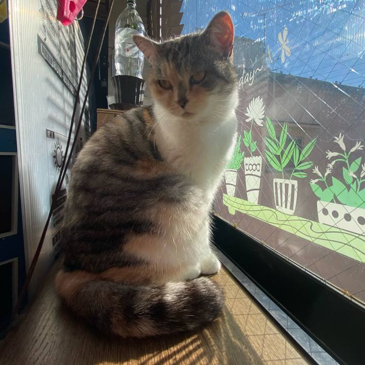 2df84aa3 0b1e 4853 a16c eda301e6dcbc 1611969966961