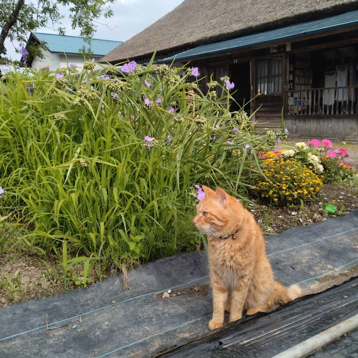 2df853f2 41df 44a8 bcde 52916ae6f5d9 1688687859625