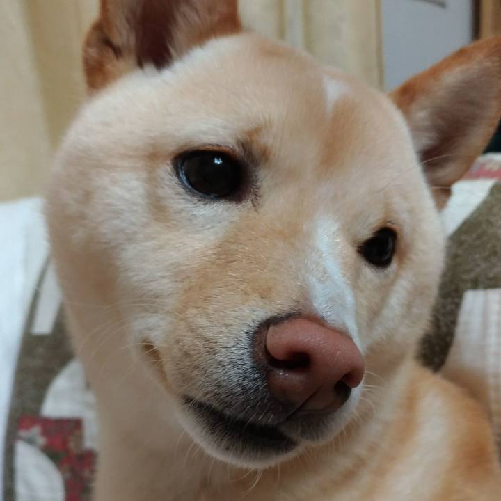 2df89bb5 d262 44df 8a7b 16fdc6b44400 1519990930098