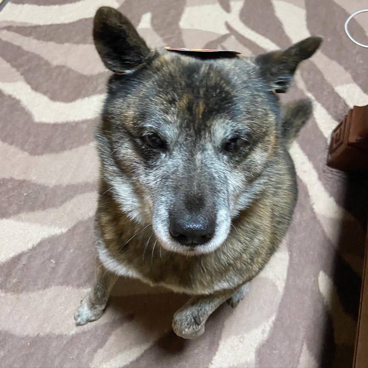 2df8d187 2e53 4046 9102 9fc7718b6fed 1643882130756