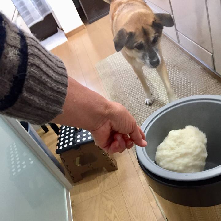 2df8e620 a2f0 4ea5 9bde af9cdc4aa636 1546140082083