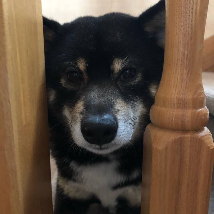 2df90141 fdf1 45e0 ab43 53b4dc610fb7 1522067855313