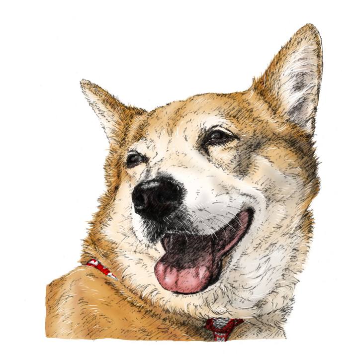 2df9040e 7797 47da 9b1f 3f3c86c1ef58 1647272304083