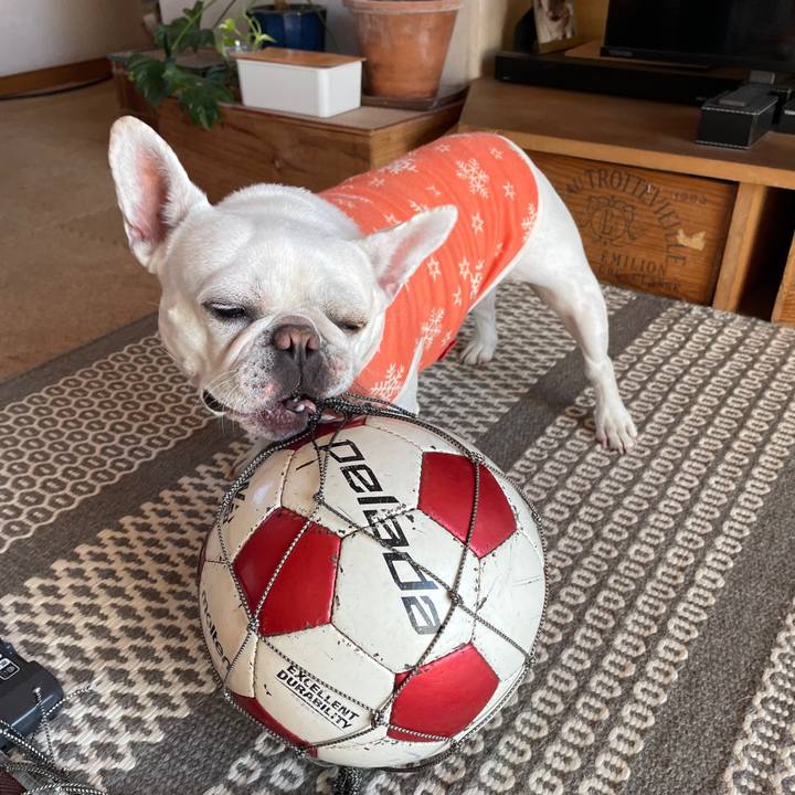 2df90af6 4c74 4e65 a236 f61323c67c05 1737859382468