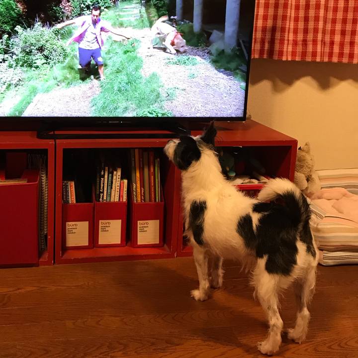 2df9297b 37c4 49b7 bfd1 a89978e53d41 1538822548064