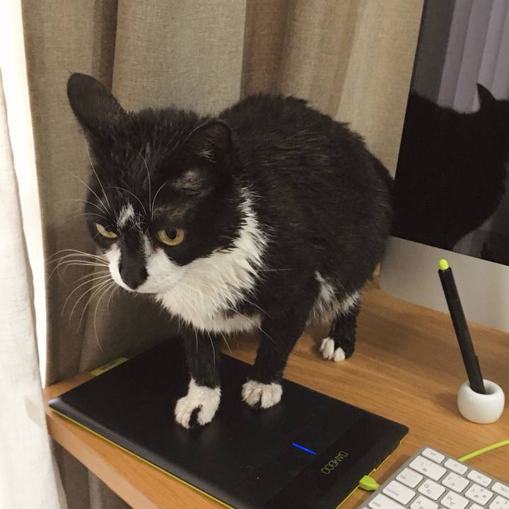 2df95392 d8b7 47b3 a6ea 0a3069fe77e2 1775827872317