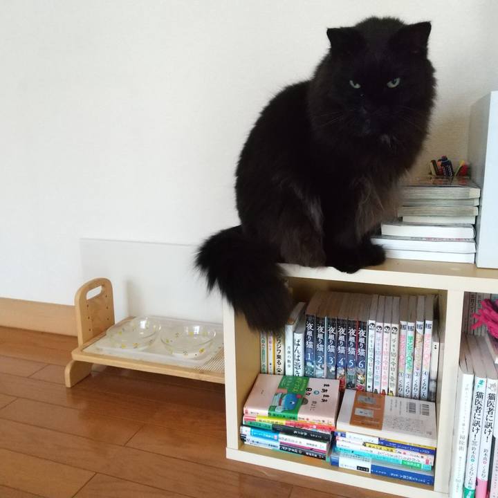 2df95971 71ae 44f0 ae31 1c9a32b31fee 1652828229296