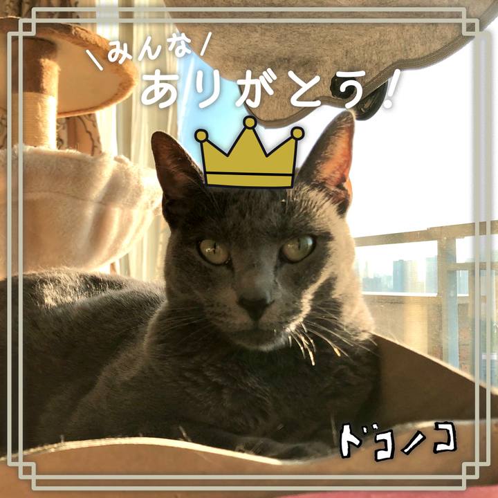 2df95ab5 528f 4d3d 8c78 f86eb17d57a8 1622941195986