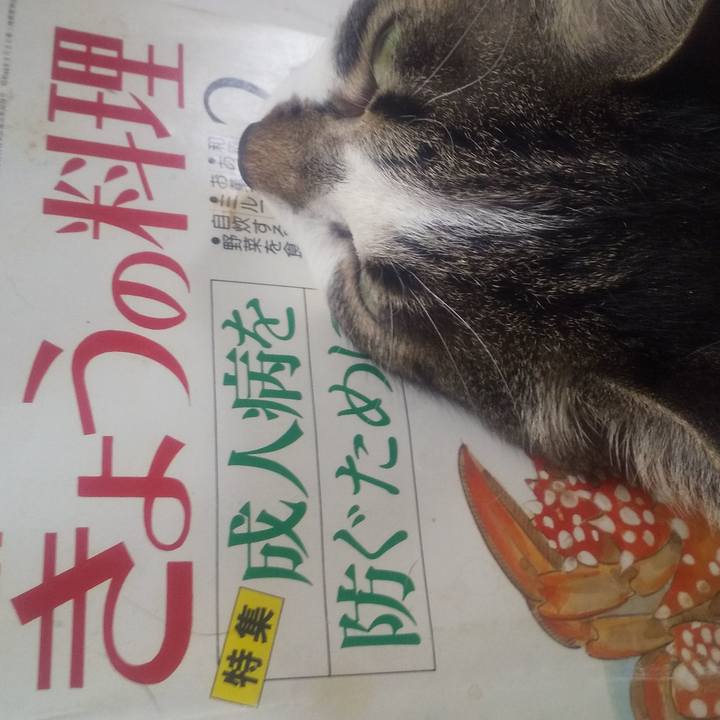 2df96e2d ec3f 452c b419 fa70d8e4bba6 1692155358122