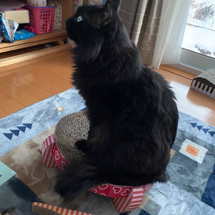 2df98d80 dbf0 4fc5 a88e 36b8d79a5c55 1578996204633