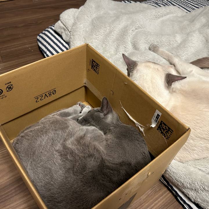 2df995b4 2011 43b2 ab6c 8b3209fa3ebc 1737275980760