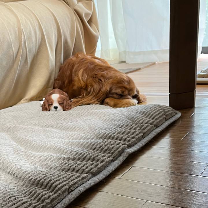 2df9971a c7f5 48b1 b825 b8da382808c6 1715120783876