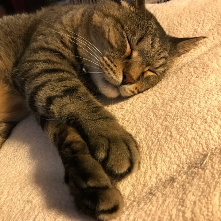 2df9dd7c 28e2 4f5f 9589 1d9f55ee2998 1534864288195