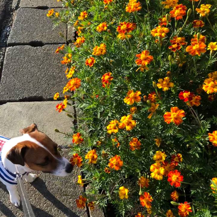 2df9e0fb e830 4612 9b5f b79fa1d50167 1568370468367