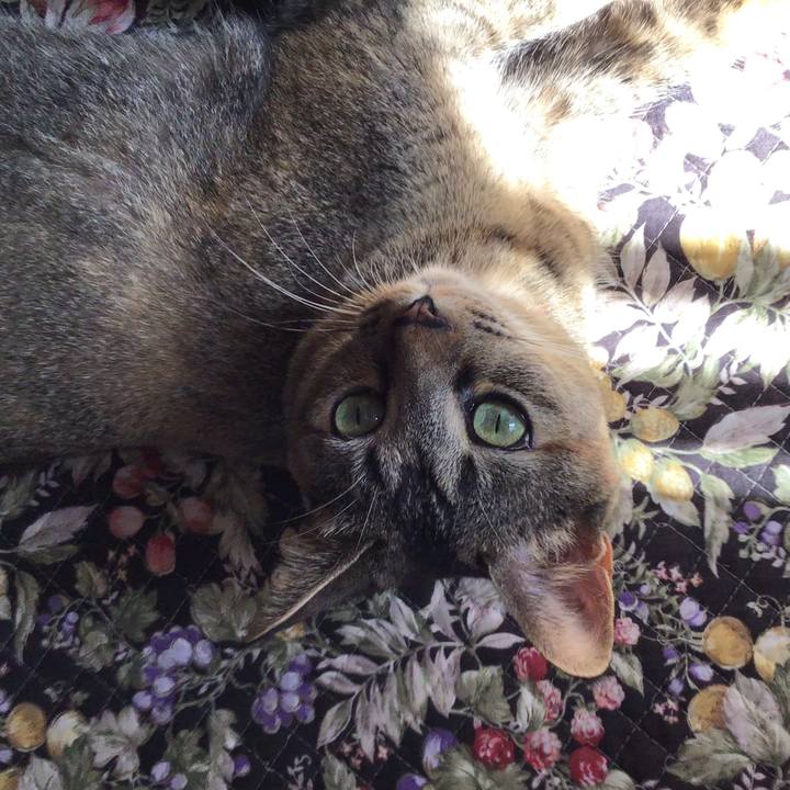 2dfa08fc 4f19 4363 9cac 31e451b8b37f 1596338966324