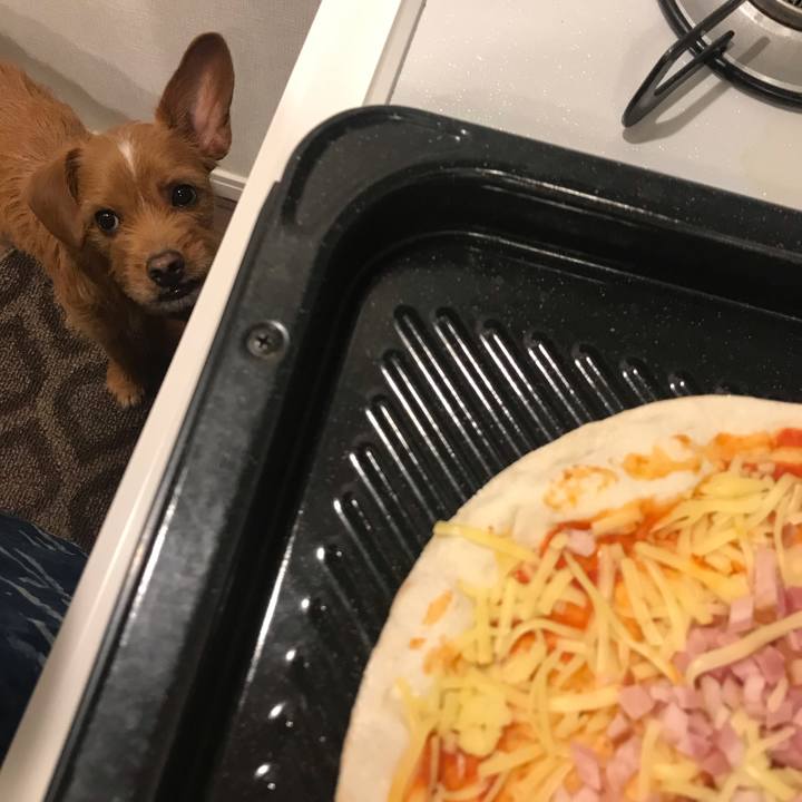 2dfa6804 4933 4db4 b5f3 efc0e86a4dbc 1548923165623