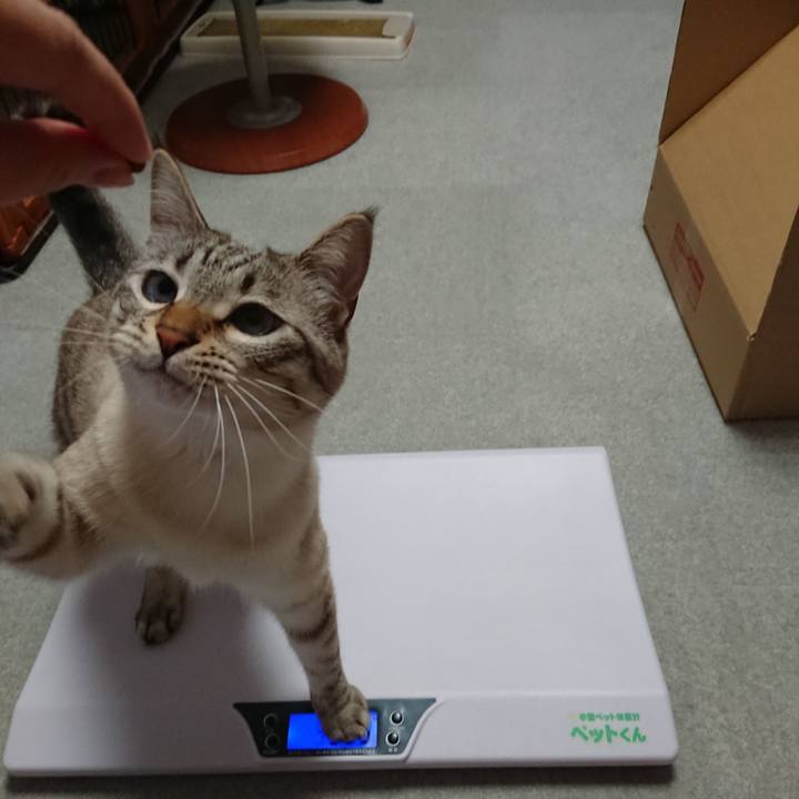 2dfa8243 5d63 47c3 831f 90675f3dda41 1522243667375