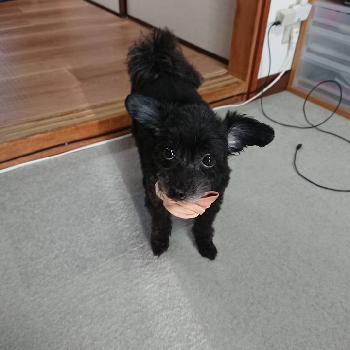 2dfa8fd0 e272 4bb0 ab33 83c54acd5424 1556353809963