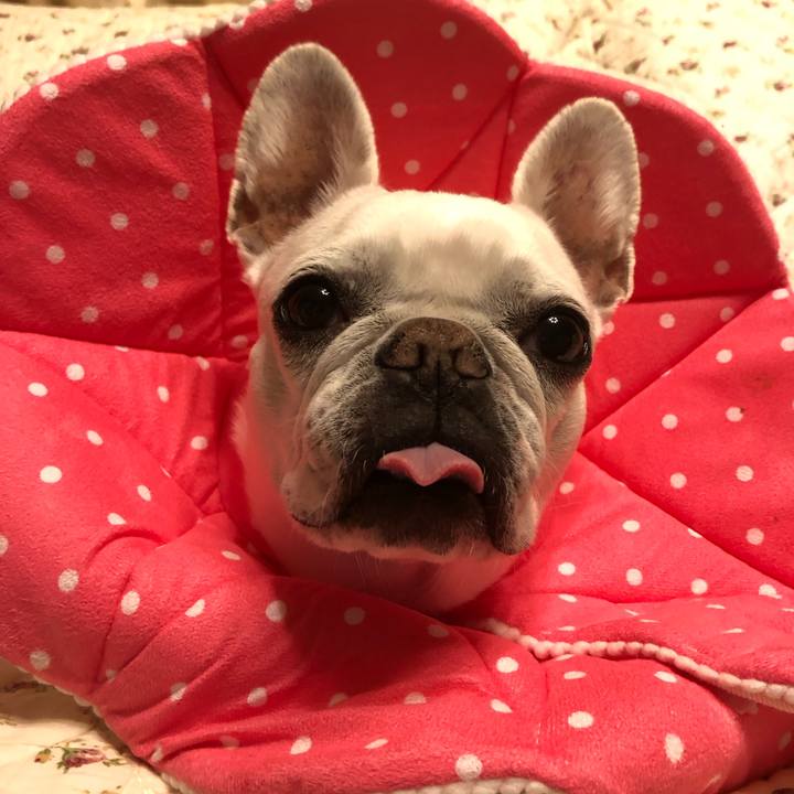 2dfaa47a ce0c 43f6 a1df dd9dd552fecd 1683026506145