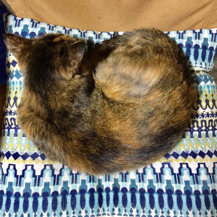 2dfaebb0 b296 4d3d 9eef 786393844d0e 1536968877697