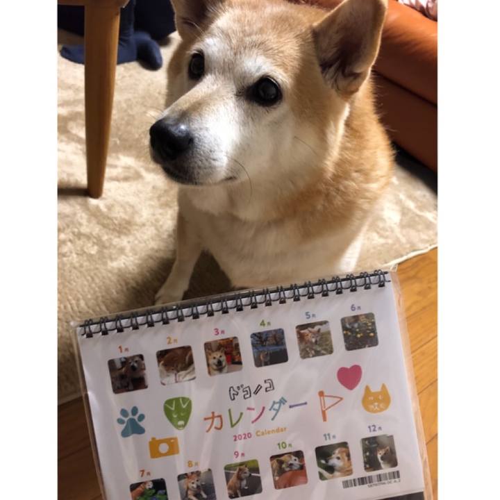 2dfaf229 a7d2 4c99 9e7a b2ae1d2b5ed4 1575197239457