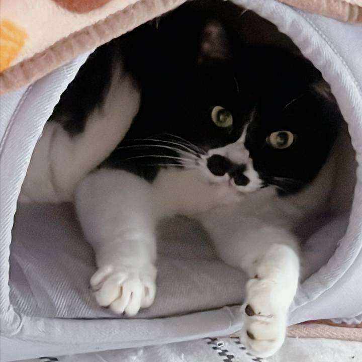 2dfb4097 a422 4a2c b75f 977e1f40a70d 1707703816477