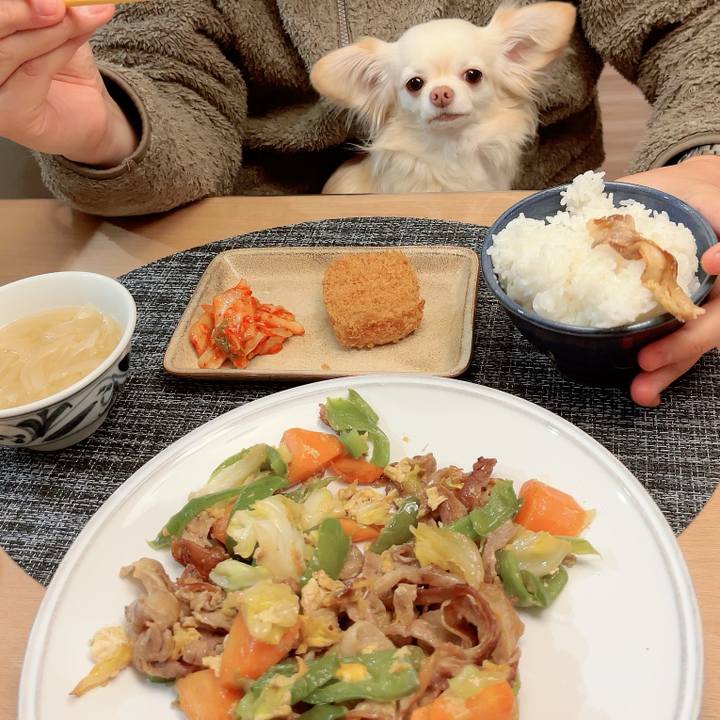 2dfb5cdc fd18 4c4a b964 8ee5bf0bafbe 1710895539110