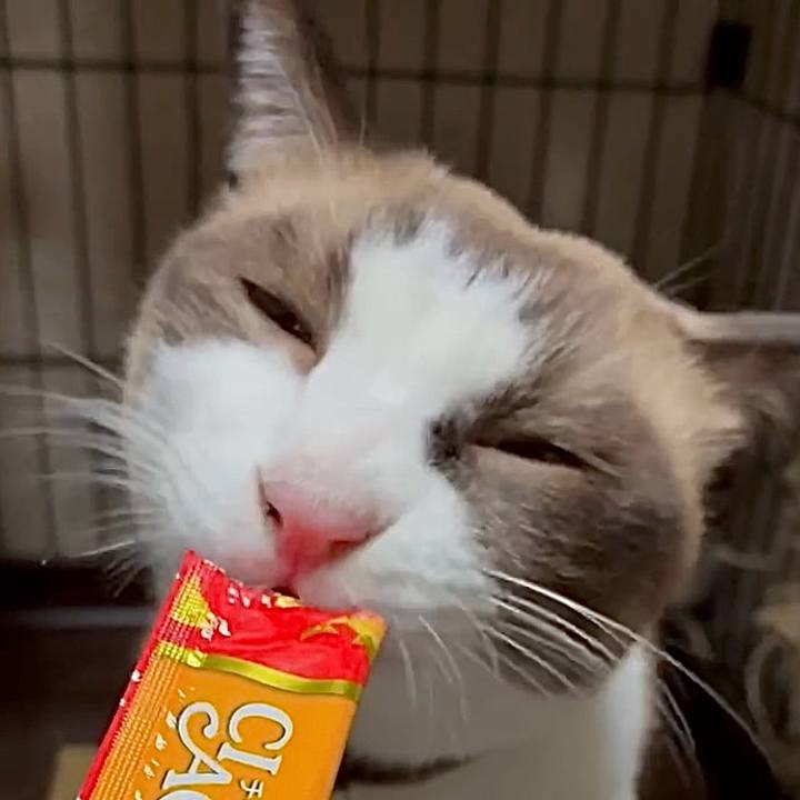 2dfb7b10 47b4 42fa b56d d734533af263 1759571084897