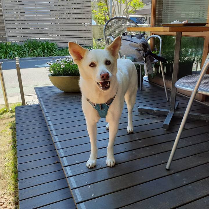 2dfb82b0 b5e7 455d b40a d47421760e5e 1651551161307